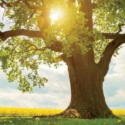 Generational Changes, PLLC